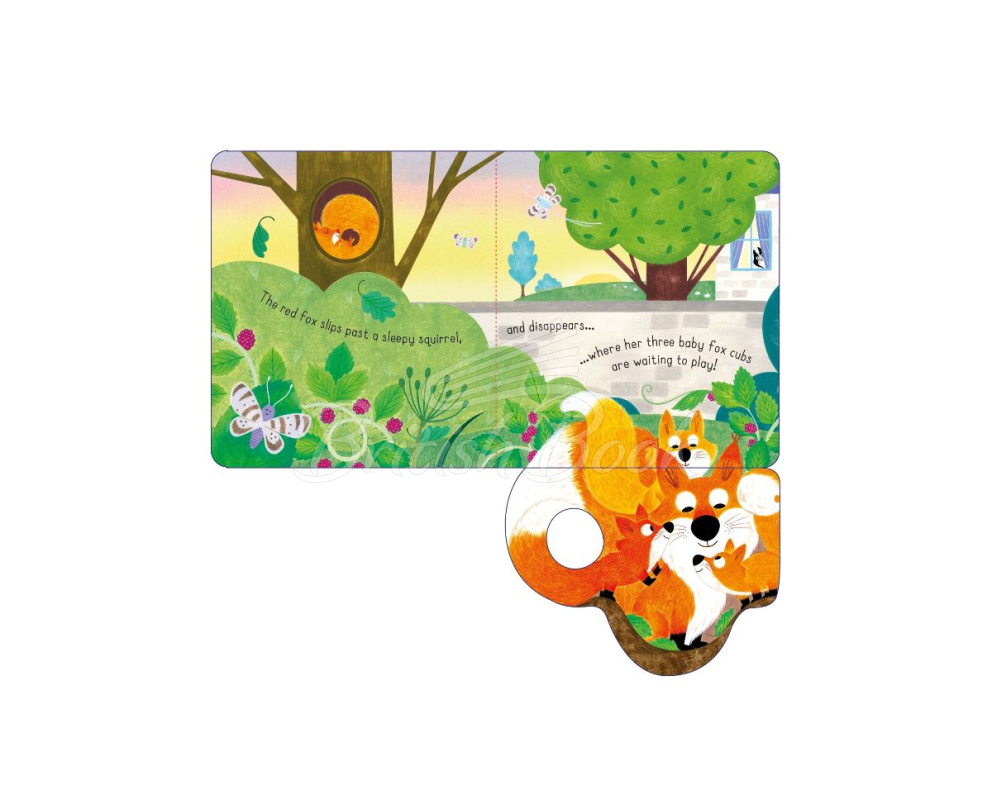 Книга Little Lift and Look: Red Fox зображення 3