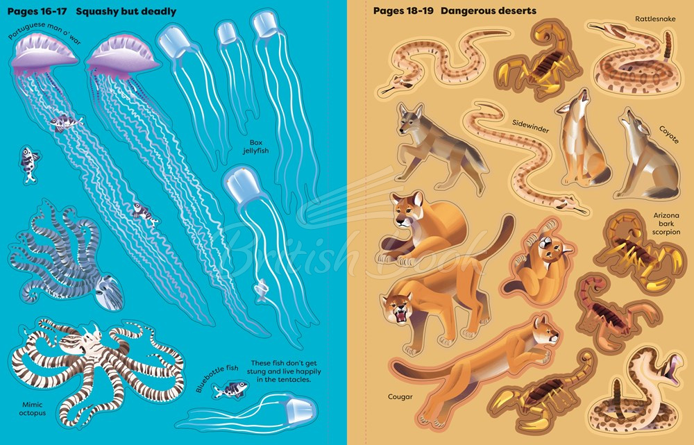 Книга Big Sticker Book Deadly Animals изображение 2