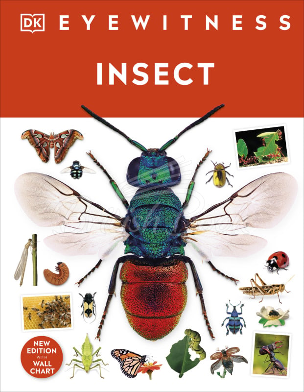 Книга Insect изображение