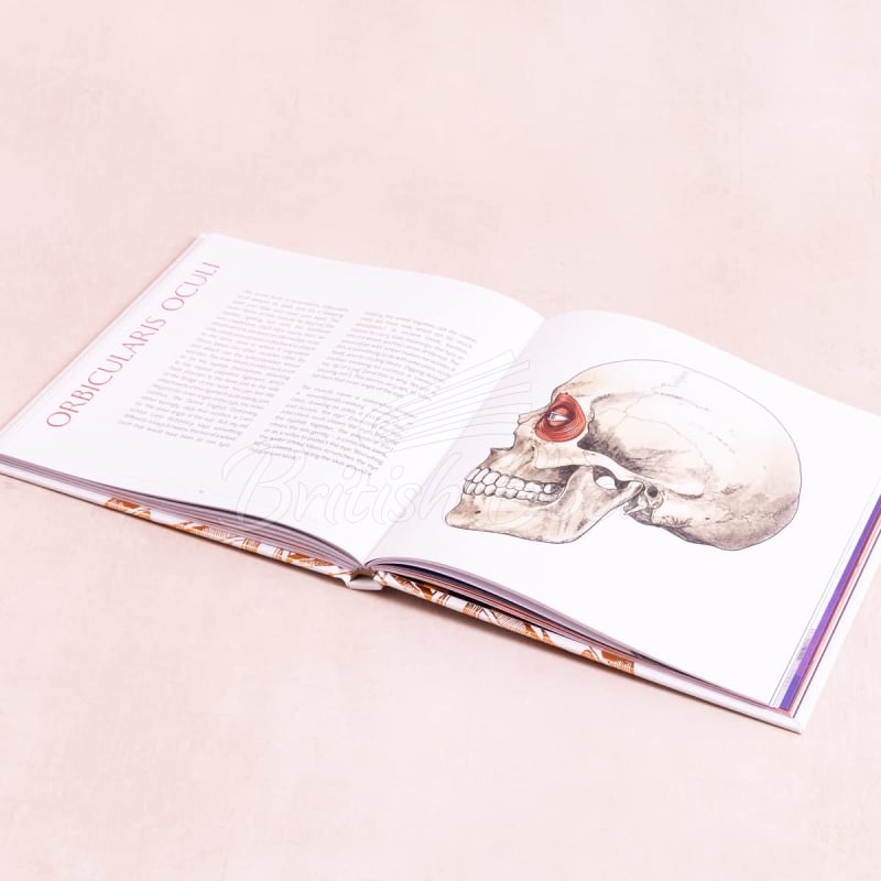 Книга Anatomical Oddities изображение 5