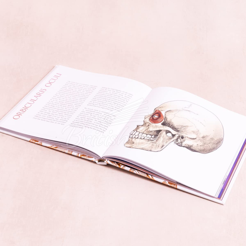 Книга Anatomical Oddities зображення 5
