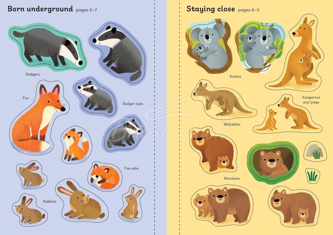 Книга Little First Stickers: Baby Animals зображення 5