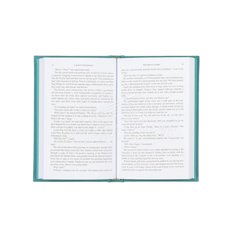 Книга The Great Gatsby зображення 2