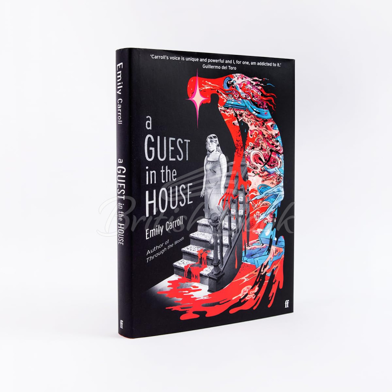 Книга A Guest in the House изображение 1