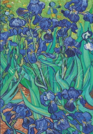 Блокнот Vincent Van Gogh Irises Mini Notebook зображення