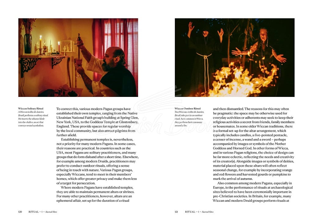Книга Pagans: The Visual Culture of Pagan Myths, Legends and Rituals зображення 8