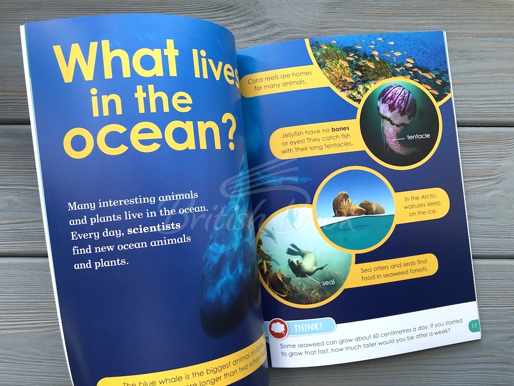 Книга BBC Earth: Do You Know? Level 4 Looking after the Ocean зображення 3