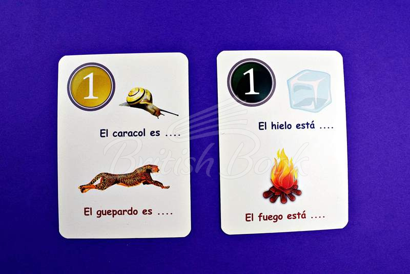 Карточки Fun Card Spanish: XXL Spanish My First 600 Words изображение 9