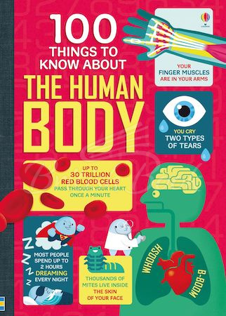 Книга 100 Things to Know About The Human Body изображение