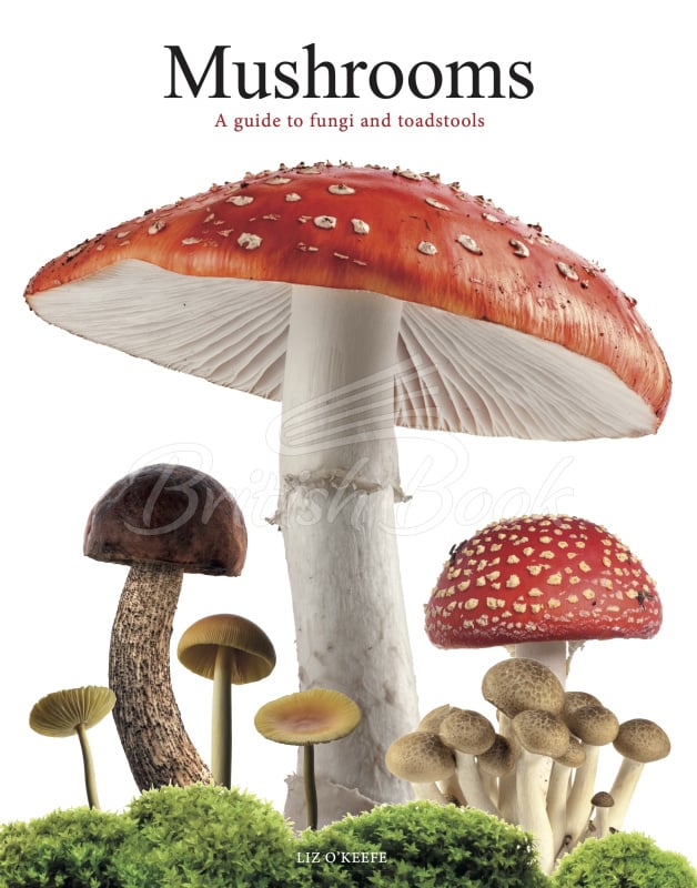 Книга Mushrooms: A Guide to Fungi and Toadstools зображення