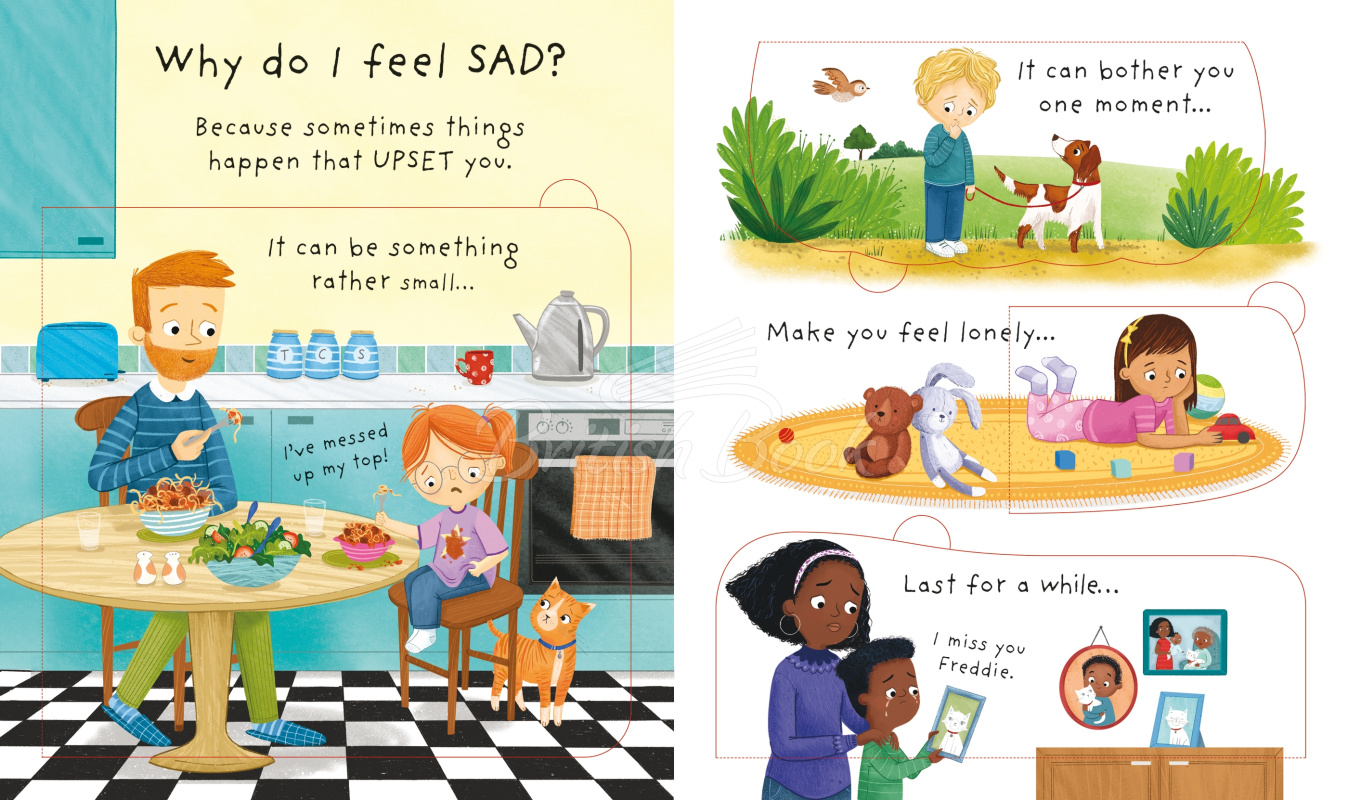 Книга Lift-the-Flap First Questions and Answers: Why Do I (Sometimes) Feel Sad? зображення 2