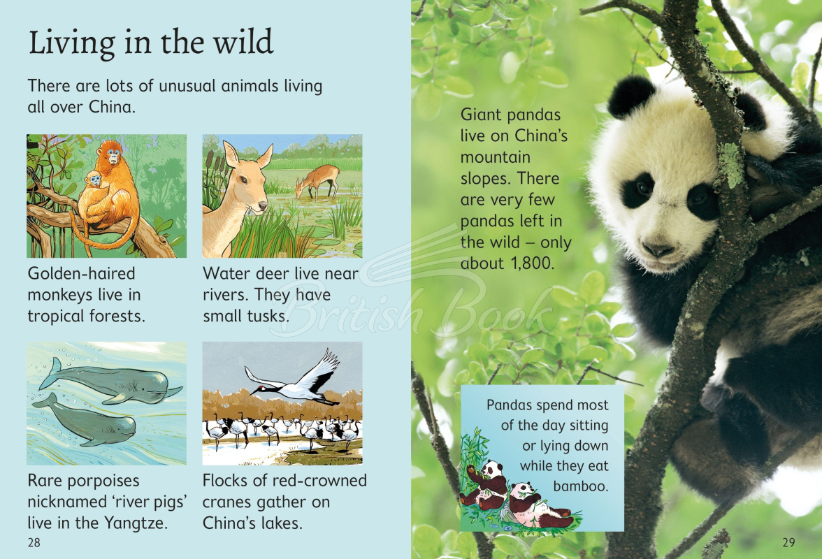 Книга Usborne Beginners China изображение 3