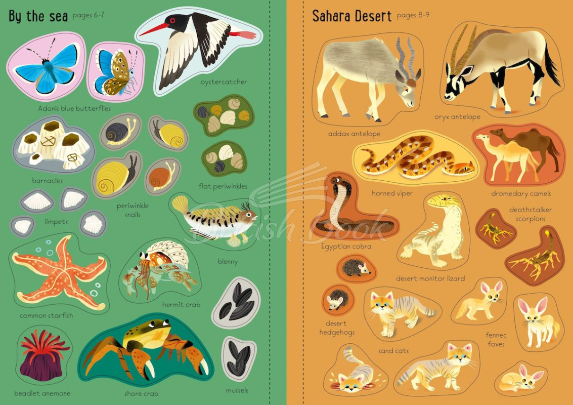 Книга Little First Stickers: Nature изображение 4