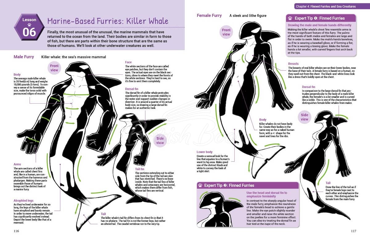 Книга How to Draw Manga Furries изображение 7