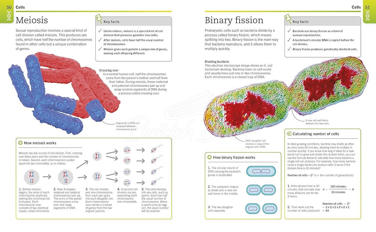 Книга Super Simple Biology изображение 5