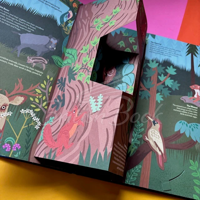 Книга Wild Animals зображення 3