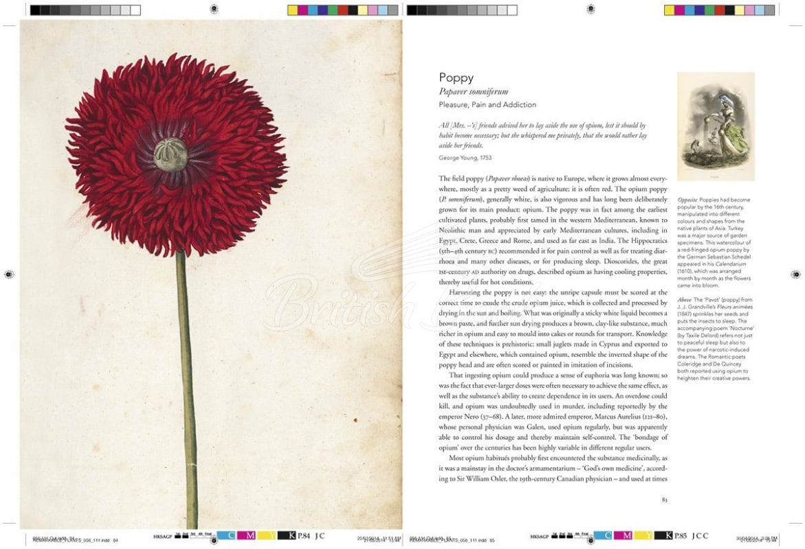 Книга Remarkable Plants изображение 7