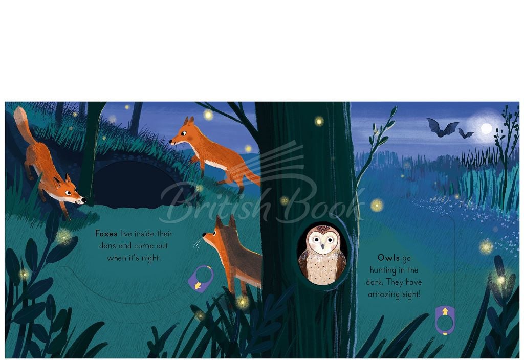 Книга Big Outdoors for Little Explorers: Woods изображение 3