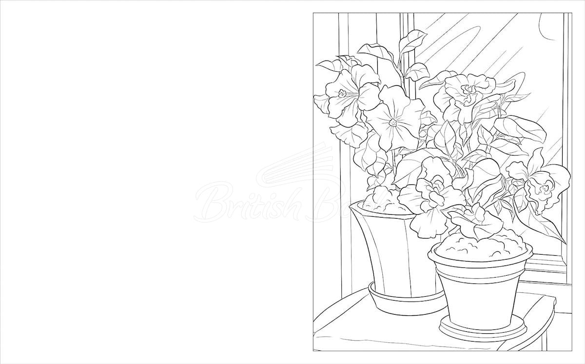 Книга The Houseplants Colouring Book зображення 1