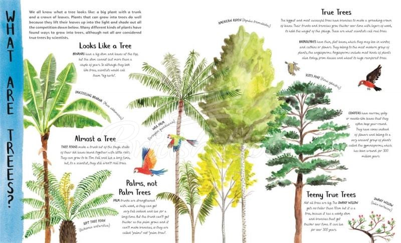 Книга The Wonder of Trees изображение 1