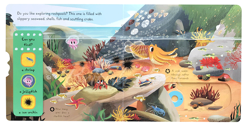 Книга First Explorers: Sea Creatures изображение 1