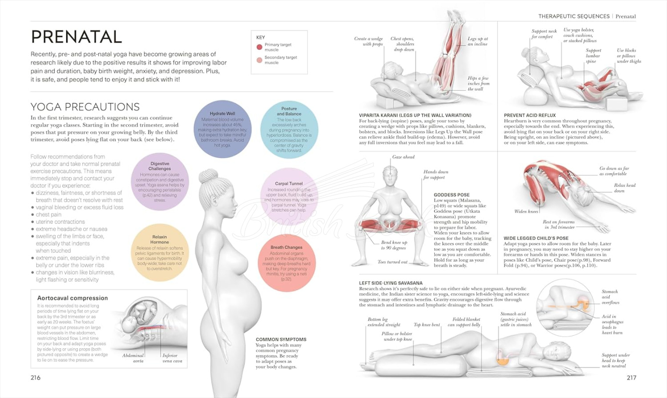 Книга Science of Yoga зображення 6