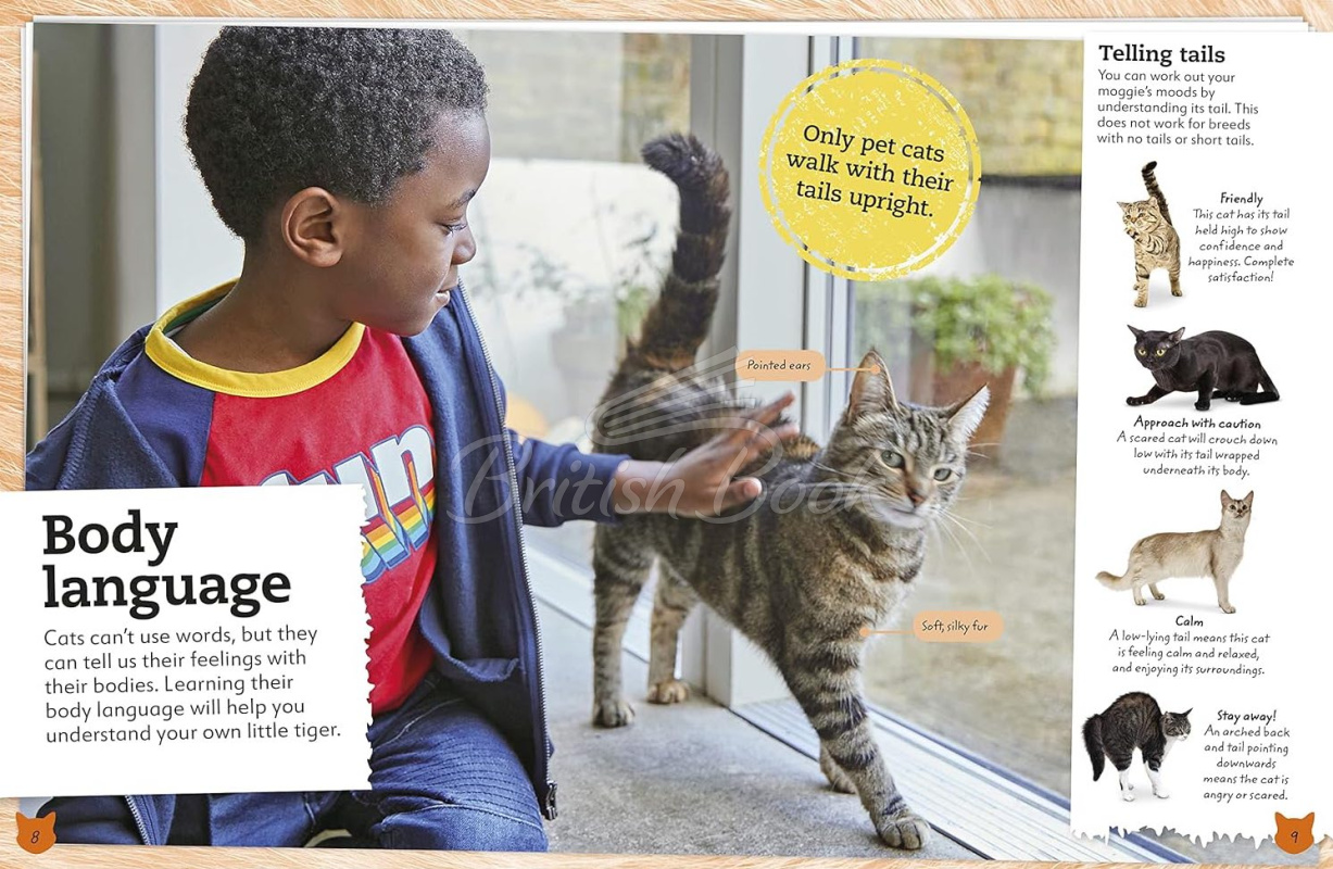 Книга My Book of Cats and Kittens изображение 1
