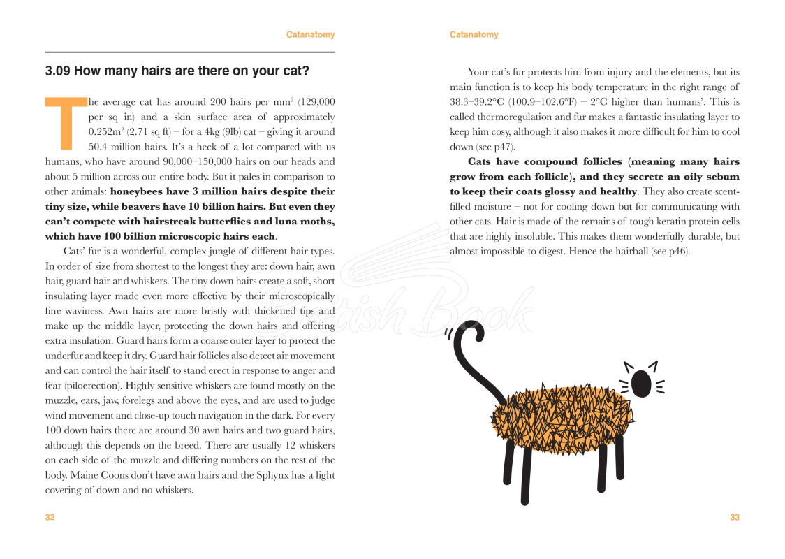 Книга Catology: The Weird and Wonderful Science of Cats изображение 7