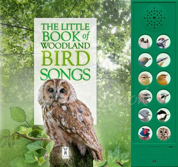 Книга The Little Book of Woodland Bird Song зображення