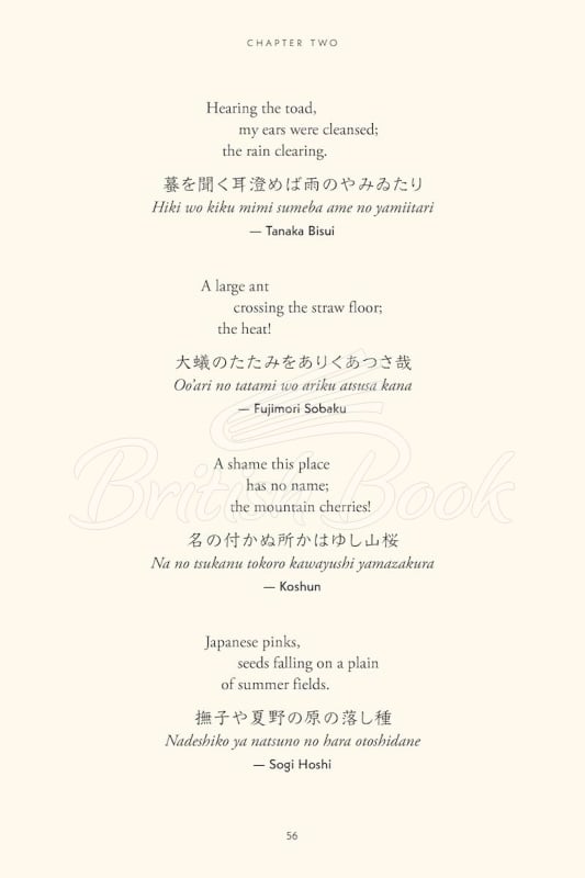Книга The Illustrated Book of Japanese Haiku изображение 11