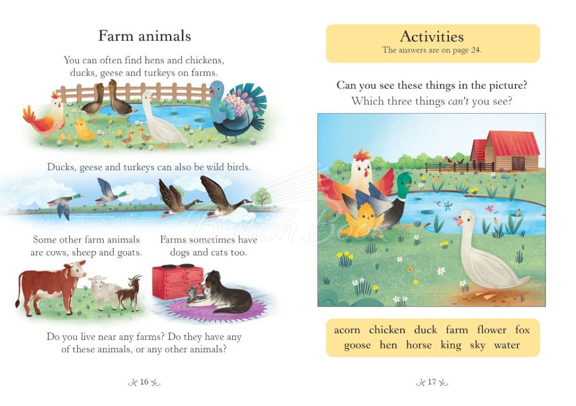 Книга Usborne English Readers Level Starter Chicken Licken зображення 3