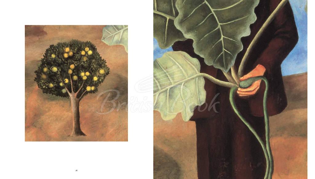Книга Frida Kahlo: The Painter and Her Work зображення 6