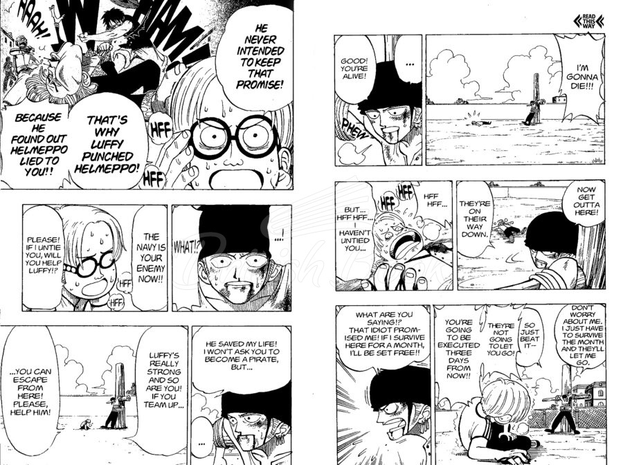 Книга One Piece Vol. 1 изображение 2