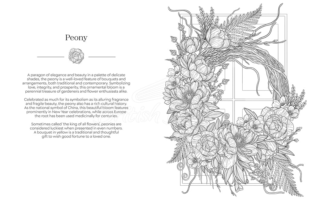 Книга The Language of Flowers Colouring Book: Botanicals from Around the World and their Meanings изображение 4