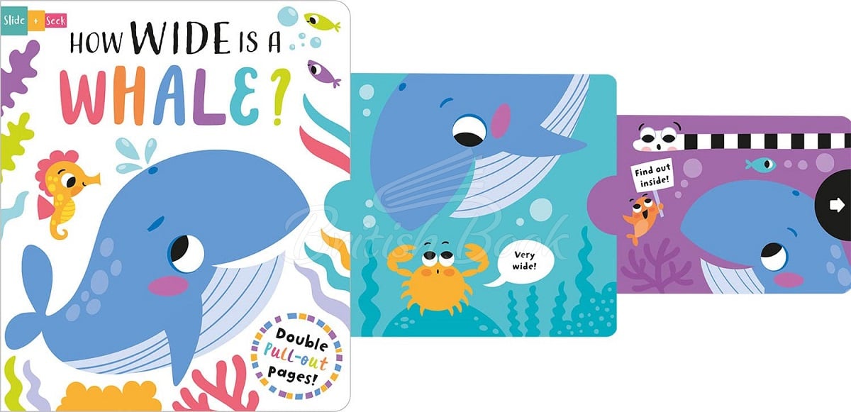Книга Slide + Seek: How Wide is a Whale? зображення 5