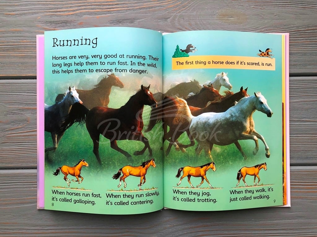 Книга Usborne Beginners Horses and Ponies изображение 7