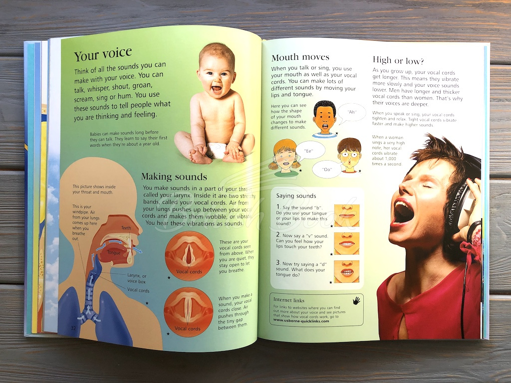 Книга First Encyclopedia of the Human Body зображення 4