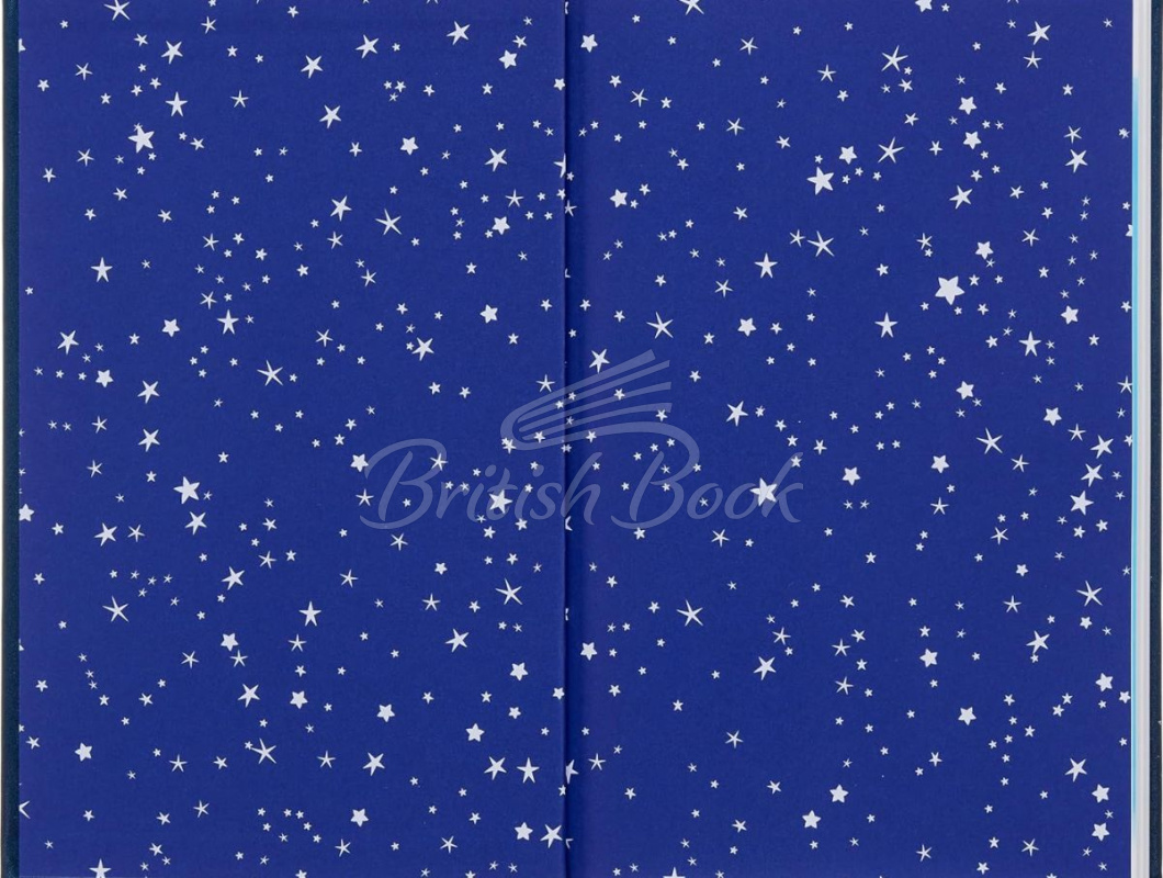 Книга The Little Prince зображення 1
