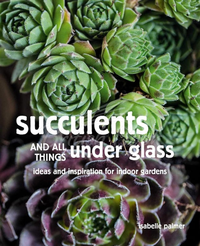 Книга Terrarium Imaginarium: Growing Succulents, Cacti and More under Glass изображение