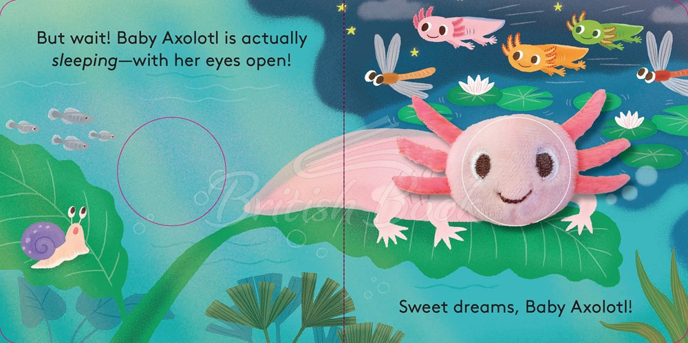 Книга Baby Axolotl Finger Puppet Book зображення 6