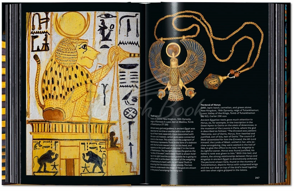 Книга King Tut: The Journey through the Underworld (40th Anniversary Edition) зображення 4