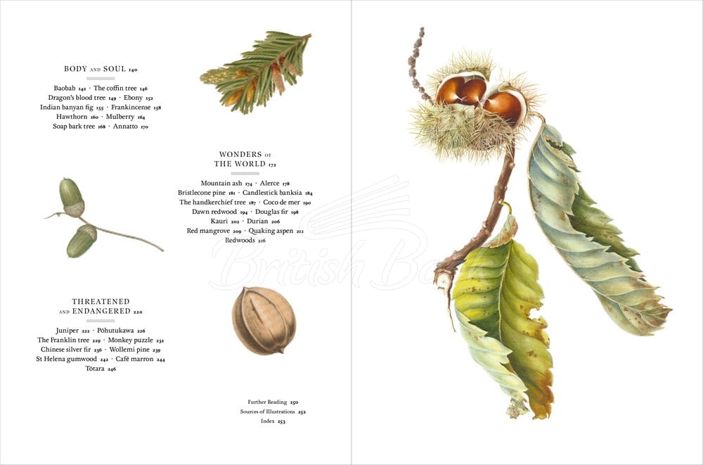 Книга Remarkable Trees изображение 5