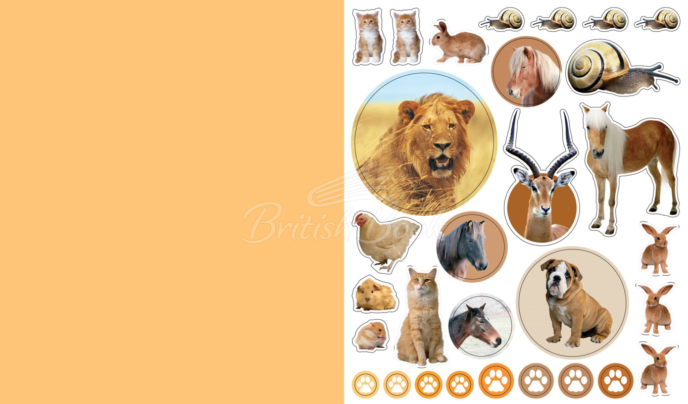 Стікербук Eyelike Stickers Deluxe: Animal Kingdom зображення 3
