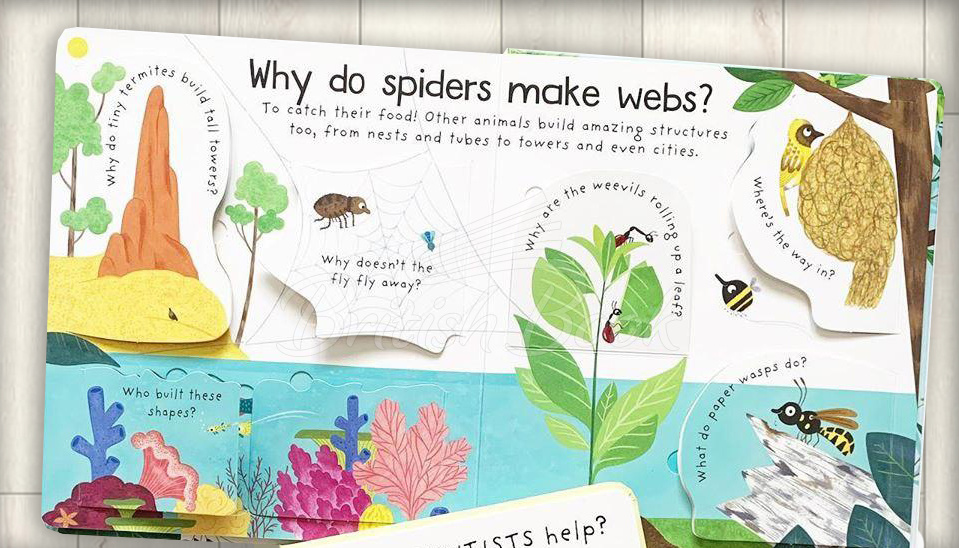 Книга Lift-the-Flap First Questions and Answers: Why Do Tigers Have Stripes? зображення 4