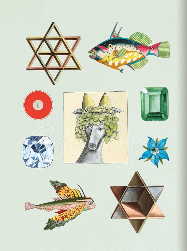 Книга The Antiquarian Sticker Book: Bibliophilia зображення 9