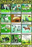Farm Animals Poster