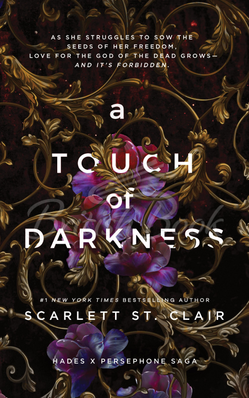 Книга A Touch of Darkness (Book 1) зображення