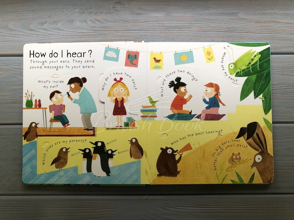 Книга Lift-the-Flap First Questions and Answers: How Do I See? изображение 4