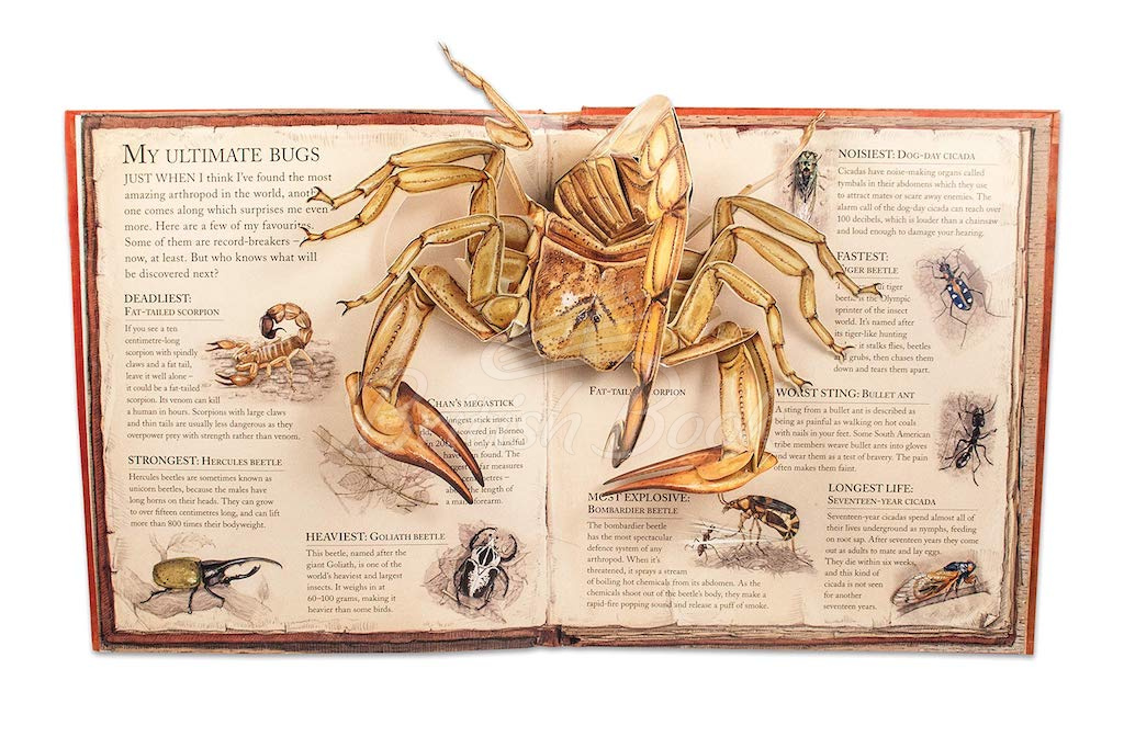 Книга Bugs: A Pop-up Journey into the World of Insects, Spiders and Creepy-crawlies изображение 1
