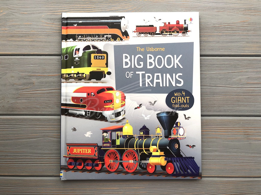 Книга Big Book of Trains изображение 2